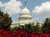 capitol